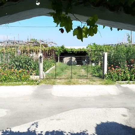 Grigorios Apartments Nea Vrasna Luaran gambar