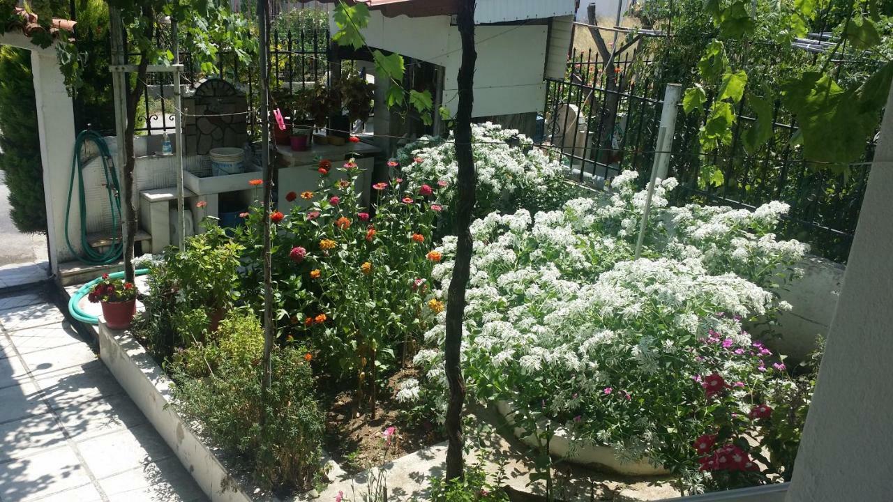 Grigorios Apartments Nea Vrasna Luaran gambar
