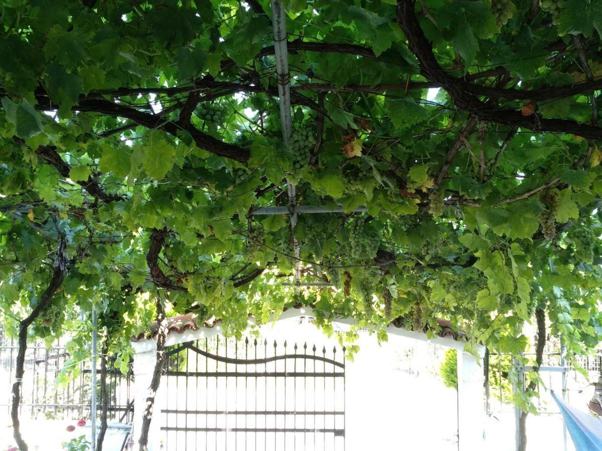 Grigorios Apartments Nea Vrasna Luaran gambar