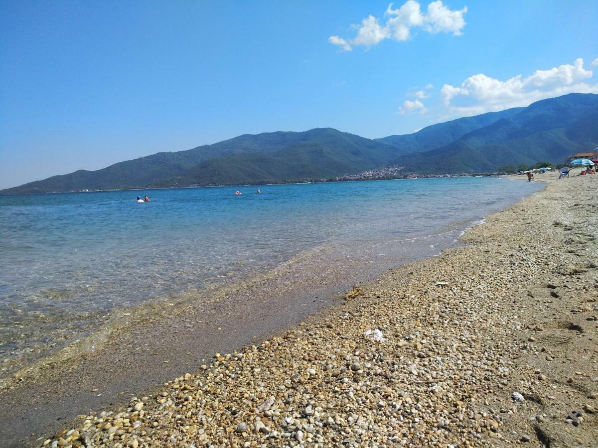 Grigorios Apartments Nea Vrasna Luaran gambar