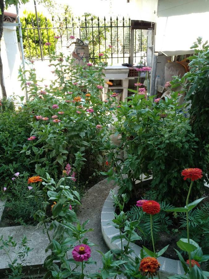 Grigorios Apartments Nea Vrasna Luaran gambar
